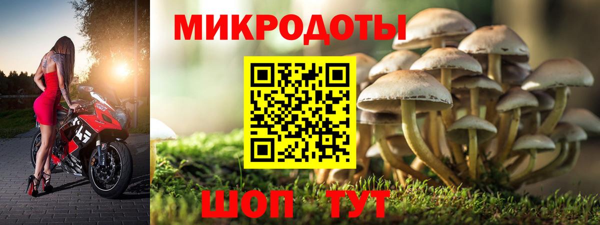 где купить наркоту  Псилоцибиновые грибы Psilocybe  Ейск  Галлюциногенные грибы Psilocybe 