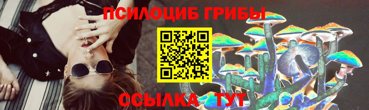 Псилоцибиновые грибы Psilocybine cubensis Ейск